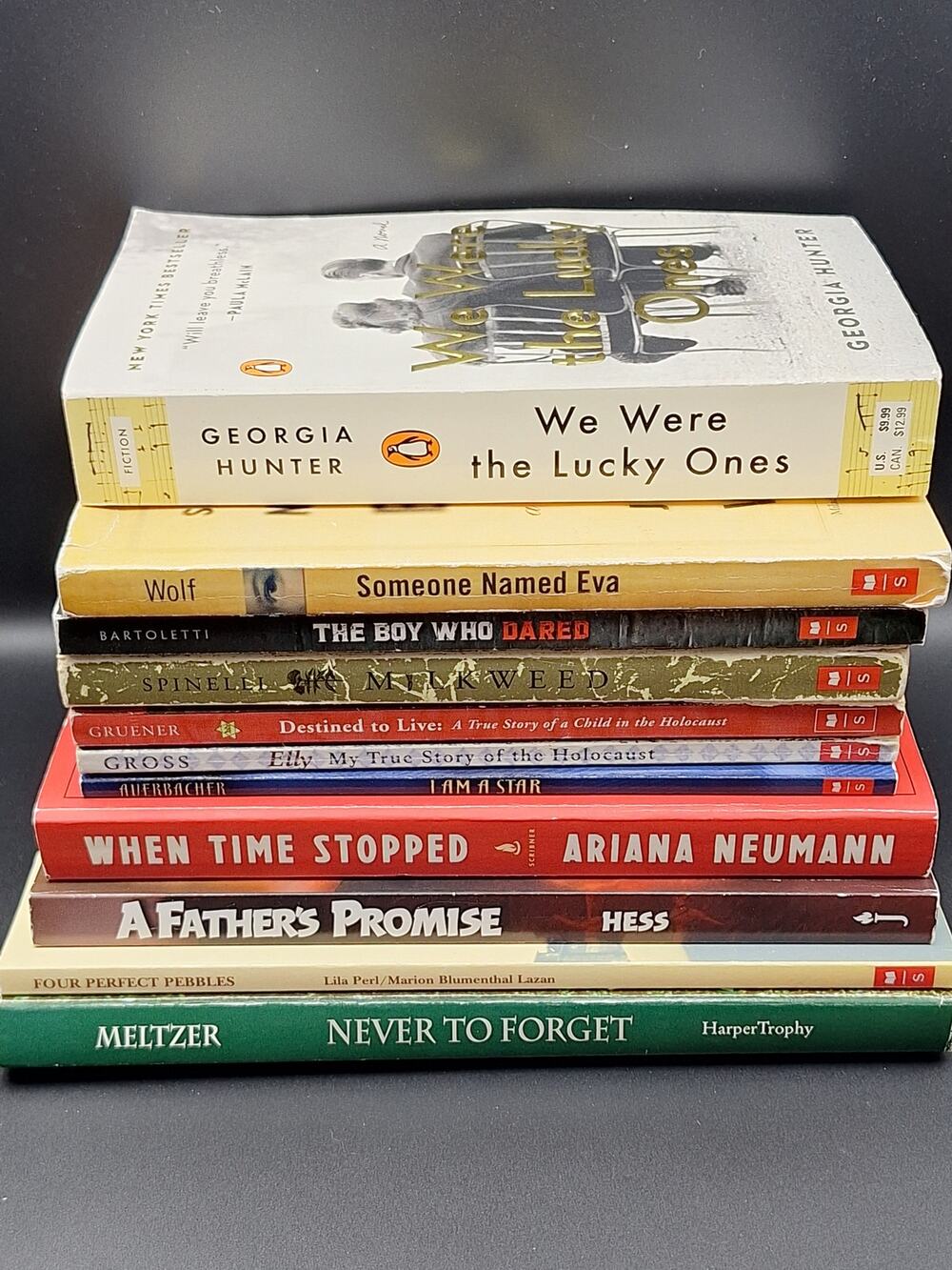 WWII Holocaust History Book Lot 11 Novels YA Adult We Were The Lucky Ones